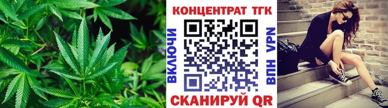 мега вход  Динская  Дистиллят ТГК концентрат 